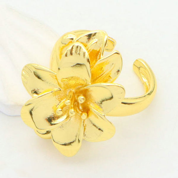 Anillo Brass