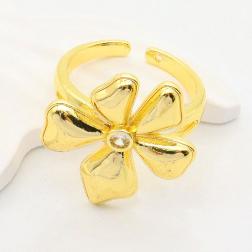 Anillo Acero