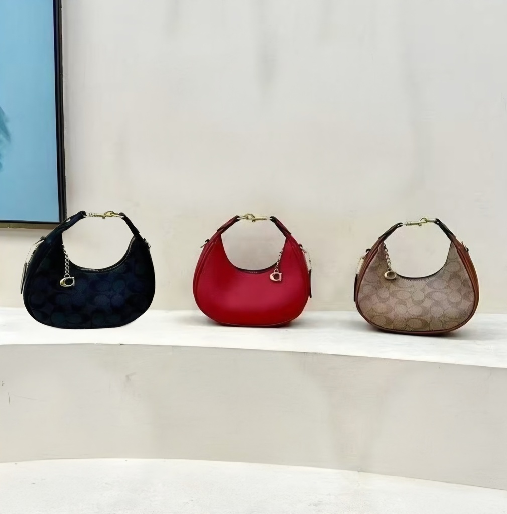 Carteras Beso Coach con Caja (copia)