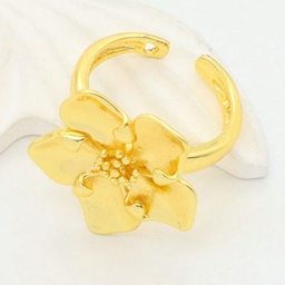 [3783140065] Anillo Brass