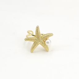 [3849190100] Anillo Brass