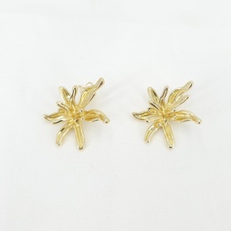[3856150150] Aritos Brass