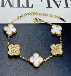 [3893020145] PULSERA VCF