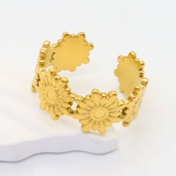 Anillo Acero