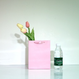 Bolsa de regalo de papel (7.5X20) ROSADO